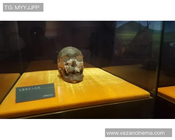 马努特的传奇人生与篮球之路：从草原到NBA的奋斗故事