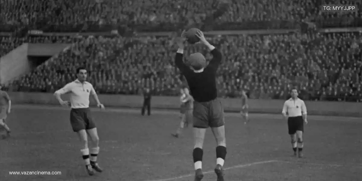 👟【周边商城】专业装备,让你的热爱更有态度!